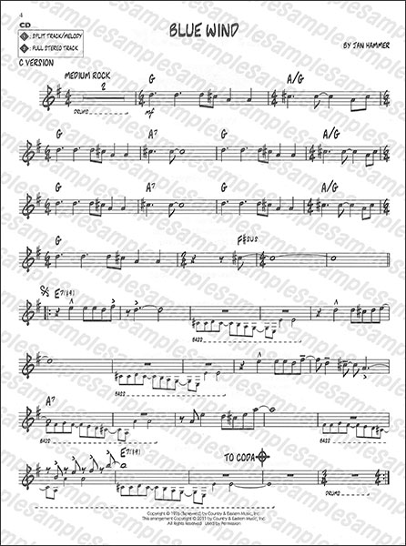 Hal Leonard:ジェフ・ベック (CD付)/【1075167】/00843197/Jazz Play 
